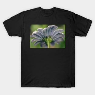 Behind the daisy T-Shirt